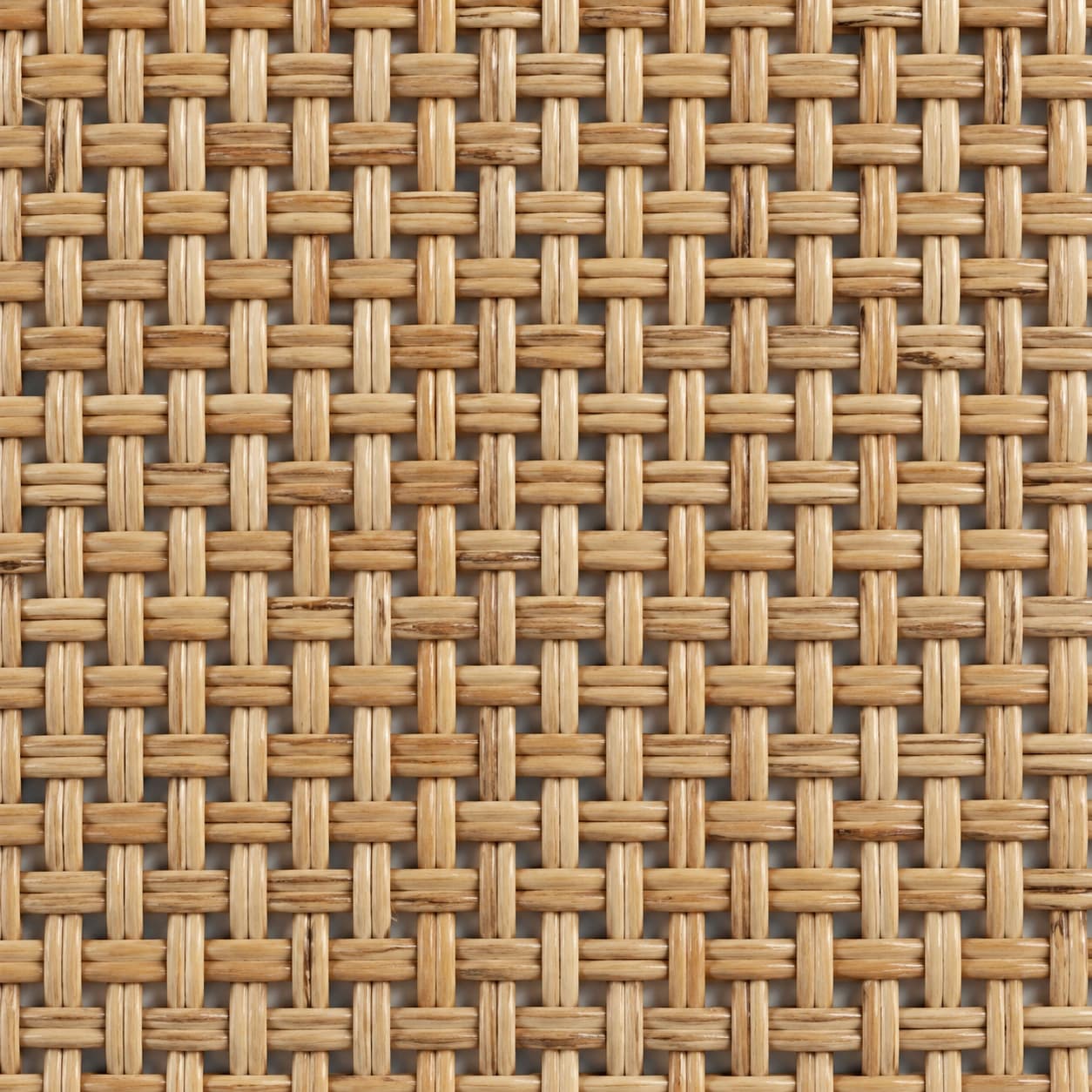 Dame @ National Museum Singapore pattern